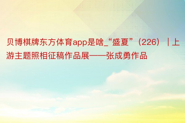 贝博棋牌东方体育app是啥_“盛夏”（226） | 上游主题照相征稿作品展——张成勇作品