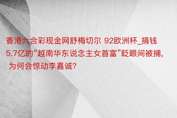 香港六合彩现金网舒梅切尔 92欧洲杯_捐钱5.7亿的“越南华东说念主女首富”眨眼间被捕, 为何会惊动李嘉诚?